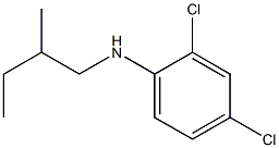 2,4-dichloro-N-(2-methylbutyl)aniline|