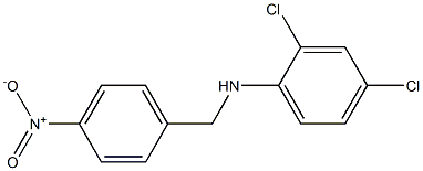 2,4-dichloro-N-[(4-nitrophenyl)methyl]aniline Structure