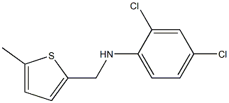  2,4-dichloro-N-[(5-methylthiophen-2-yl)methyl]aniline