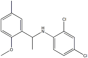 2,4-dichloro-N-[1-(2-methoxy-5-methylphenyl)ethyl]aniline Struktur