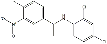 2,4-dichloro-N-[1-(4-methyl-3-nitrophenyl)ethyl]aniline,,结构式