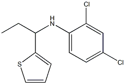 2,4-dichloro-N-[1-(thiophen-2-yl)propyl]aniline,,结构式