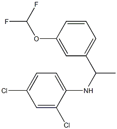 2,4-dichloro-N-{1-[3-(difluoromethoxy)phenyl]ethyl}aniline Struktur