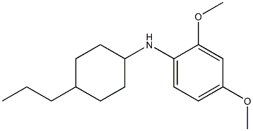 2,4-dimethoxy-N-(4-propylcyclohexyl)aniline 结构式