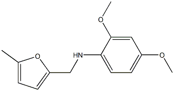 2,4-dimethoxy-N-[(5-methylfuran-2-yl)methyl]aniline,,结构式