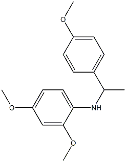 2,4-dimethoxy-N-[1-(4-methoxyphenyl)ethyl]aniline|