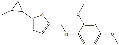 2,4-dimethoxy-N-{[5-(2-methylcyclopropyl)furan-2-yl]methyl}aniline|