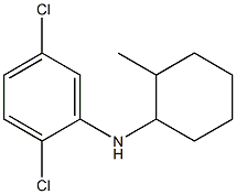  2,5-dichloro-N-(2-methylcyclohexyl)aniline