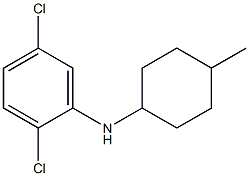 2,5-dichloro-N-(4-methylcyclohexyl)aniline Struktur