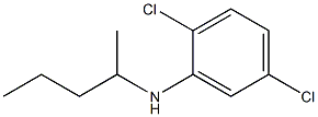 2,5-dichloro-N-(pentan-2-yl)aniline Structure