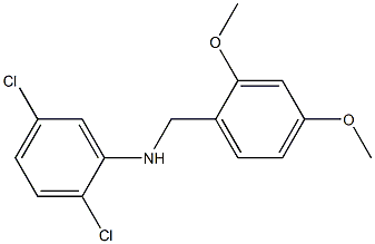 2,5-dichloro-N-[(2,4-dimethoxyphenyl)methyl]aniline,,结构式
