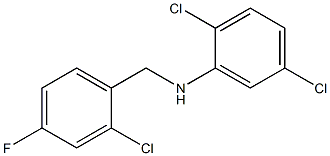  2,5-dichloro-N-[(2-chloro-4-fluorophenyl)methyl]aniline