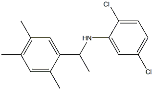 2,5-dichloro-N-[1-(2,4,5-trimethylphenyl)ethyl]aniline,,结构式