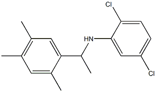 2,5-dichloro-N-[1-(2,4,5-trimethylphenyl)ethyl]aniline|