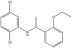 2,5-dichloro-N-[1-(2-ethoxyphenyl)ethyl]aniline,,结构式