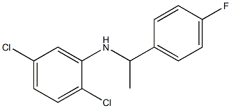 2,5-dichloro-N-[1-(4-fluorophenyl)ethyl]aniline Structure