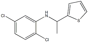 2,5-dichloro-N-[1-(thiophen-2-yl)ethyl]aniline Structure