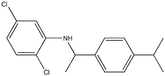 2,5-dichloro-N-{1-[4-(propan-2-yl)phenyl]ethyl}aniline Structure