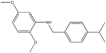 2,5-dimethoxy-N-{[4-(propan-2-yl)phenyl]methyl}aniline 化学構造式