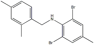 2,6-dibromo-N-[(2,4-dimethylphenyl)methyl]-4-methylaniline