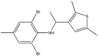 2,6-dibromo-N-[1-(2,5-dimethylthiophen-3-yl)ethyl]-4-methylaniline,,结构式