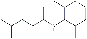 2,6-dimethyl-N-(5-methylhexan-2-yl)cyclohexan-1-amine,,结构式