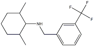 2,6-dimethyl-N-{[3-(trifluoromethyl)phenyl]methyl}cyclohexan-1-amine 结构式