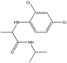 2-[(2,4-dichlorophenyl)amino]-N-(propan-2-yl)propanamide Struktur