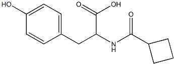 2-[(cyclobutylcarbonyl)amino]-3-(4-hydroxyphenyl)propanoic acid|