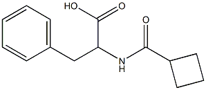 2-[(cyclobutylcarbonyl)amino]-3-phenylpropanoic acid