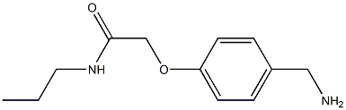 2-[4-(aminomethyl)phenoxy]-N-propylacetamide Structure