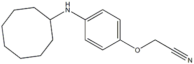 2-[4-(cyclooctylamino)phenoxy]acetonitrile,,结构式