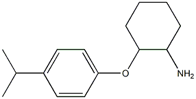  2-[4-(propan-2-yl)phenoxy]cyclohexan-1-amine