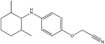 2-{4-[(2,6-dimethylcyclohexyl)amino]phenoxy}acetonitrile|