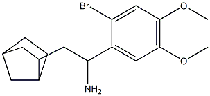 2-{bicyclo[2.2.1]heptan-2-yl}-1-(2-bromo-4,5-dimethoxyphenyl)ethan-1-amine