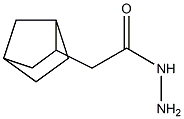 2-{bicyclo[2.2.1]heptan-2-yl}acetohydrazide