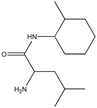 2-amino-4-methyl-N-(2-methylcyclohexyl)pentanamide