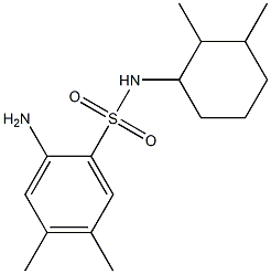 2-amino-N-(2,3-dimethylcyclohexyl)-4,5-dimethylbenzene-1-sulfonamide