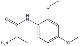 2-amino-N-(2,4-dimethoxyphenyl)propanamide