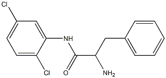 2-amino-N-(2,5-dichlorophenyl)-3-phenylpropanamide Structure