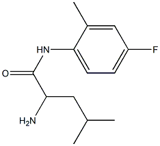2-amino-N-(4-fluoro-2-methylphenyl)-4-methylpentanamide Structure