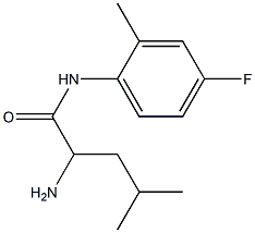 2-amino-N-(4-fluoro-2-methylphenyl)-4-methylpentanamide Struktur