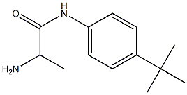 2-amino-N-(4-tert-butylphenyl)propanamide