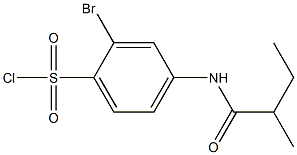 2-bromo-4-(2-methylbutanamido)benzene-1-sulfonyl chloride Structure