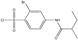 2-bromo-4-(2-methylbutanamido)benzene-1-sulfonyl chloride