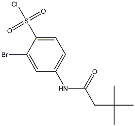 2-bromo-4-(3,3-dimethylbutanamido)benzene-1-sulfonyl chloride Structure