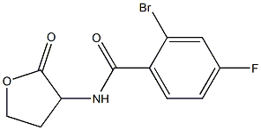 2-bromo-4-fluoro-N-(2-oxooxolan-3-yl)benzamide,,结构式