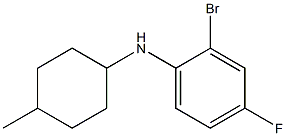 2-bromo-4-fluoro-N-(4-methylcyclohexyl)aniline