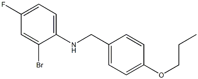 2-bromo-4-fluoro-N-[(4-propoxyphenyl)methyl]aniline,,结构式