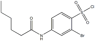 2-bromo-4-hexanamidobenzene-1-sulfonyl chloride 结构式